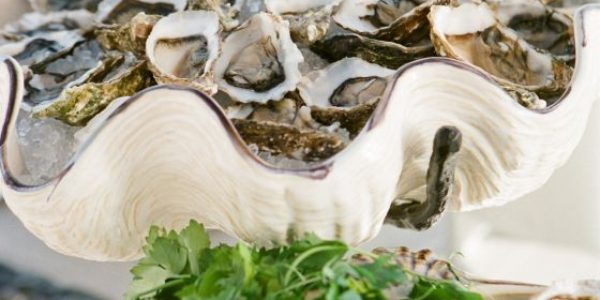 raw oyster bar